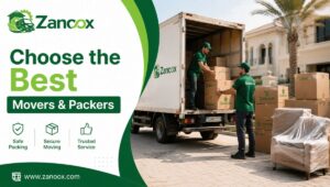 Best Movers and Packers Service Dubai