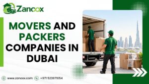Top 10 Movers And Packers Companies in Dubai